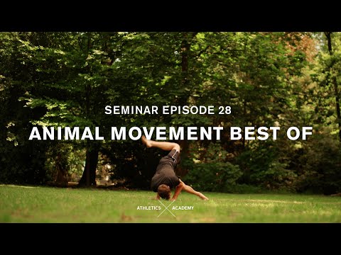 Vorschau der Videos vom YouTube-Kanal Movement Practice